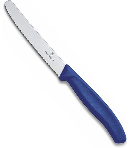 Amazon.com: Victorinox Swiss Classic 4-1/2-Inch Steak/Utility